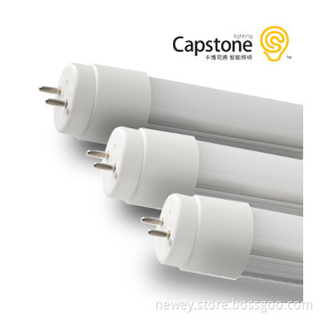T8 60 CM LED Tube